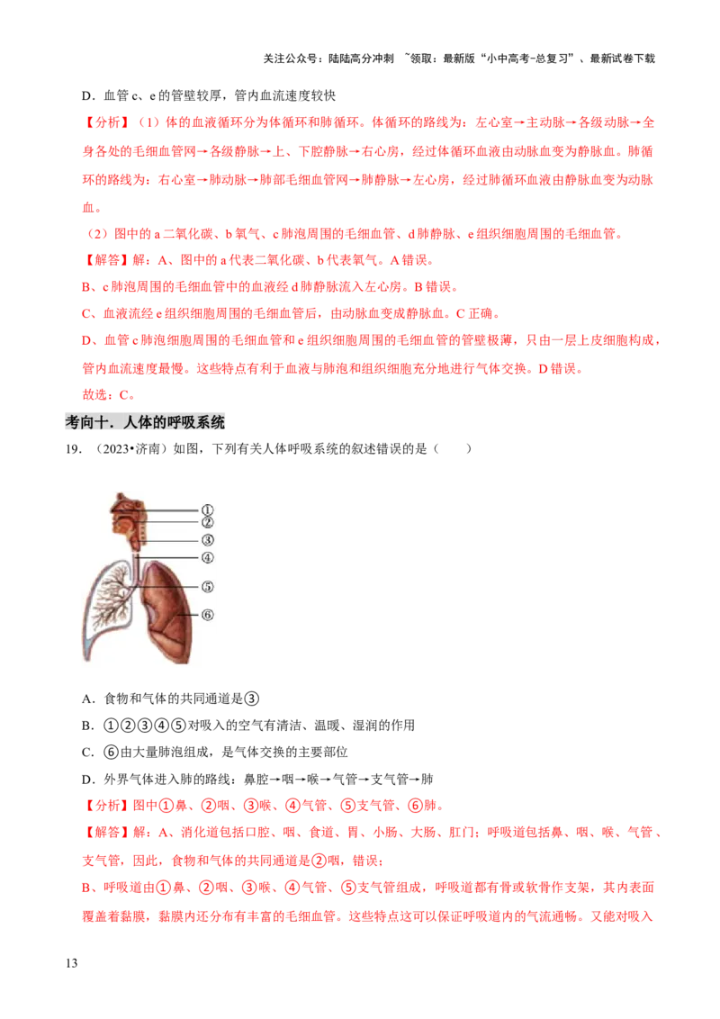 题型突破一结构图作答（解析版）_02中考总复习（2026版更新中）_08-生物-中考总复习_2024年中考复习资料_三轮复习_查漏补缺2024年中考生物复习冲刺过关（全国通用）_查补能力&middot;提升练