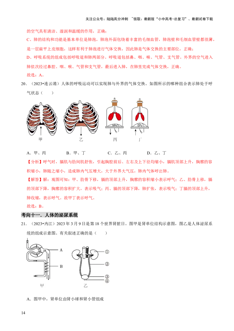 题型突破一结构图作答（解析版）_02中考总复习（2026版更新中）_08-生物-中考总复习_2024年中考复习资料_三轮复习_查漏补缺2024年中考生物复习冲刺过关（全国通用）_查补能力&middot;提升练