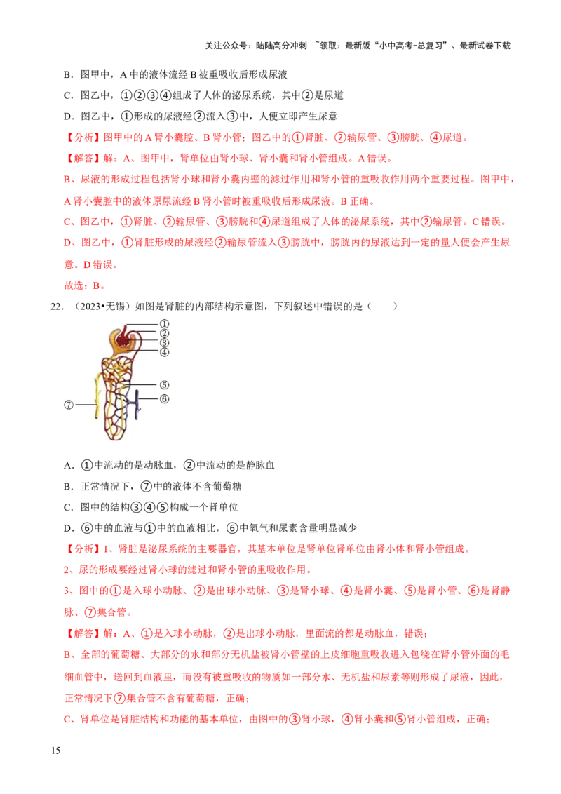 题型突破一结构图作答（解析版）_02中考总复习（2026版更新中）_08-生物-中考总复习_2024年中考复习资料_三轮复习_查漏补缺2024年中考生物复习冲刺过关（全国通用）_查补能力&middot;提升练