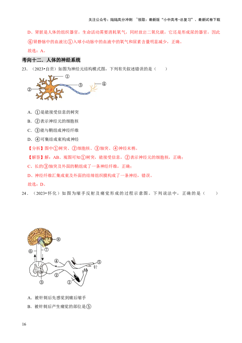 题型突破一结构图作答（解析版）_02中考总复习（2026版更新中）_08-生物-中考总复习_2024年中考复习资料_三轮复习_查漏补缺2024年中考生物复习冲刺过关（全国通用）_查补能力&middot;提升练