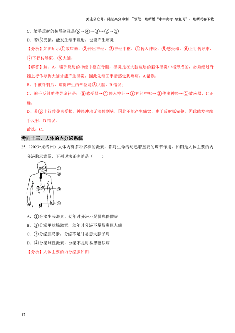 题型突破一结构图作答（解析版）_02中考总复习（2026版更新中）_08-生物-中考总复习_2024年中考复习资料_三轮复习_查漏补缺2024年中考生物复习冲刺过关（全国通用）_查补能力&middot;提升练