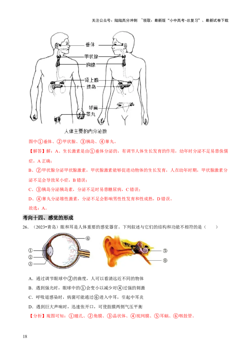 题型突破一结构图作答（解析版）_02中考总复习（2026版更新中）_08-生物-中考总复习_2024年中考复习资料_三轮复习_查漏补缺2024年中考生物复习冲刺过关（全国通用）_查补能力&middot;提升练