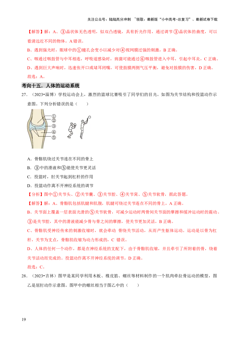题型突破一结构图作答（解析版）_02中考总复习（2026版更新中）_08-生物-中考总复习_2024年中考复习资料_三轮复习_查漏补缺2024年中考生物复习冲刺过关（全国通用）_查补能力&middot;提升练