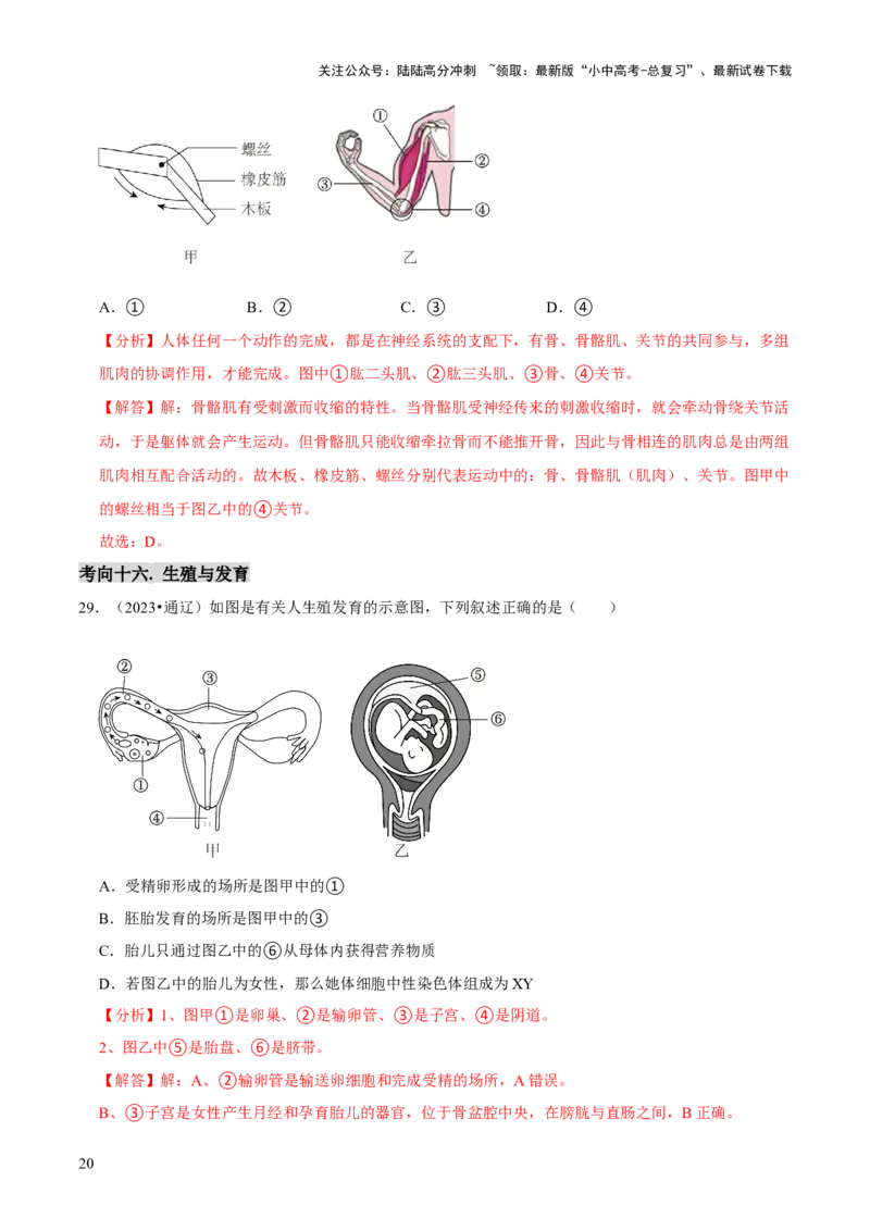 题型突破一结构图作答（解析版）_02中考总复习（2026版更新中）_08-生物-中考总复习_2024年中考复习资料_三轮复习_查漏补缺2024年中考生物复习冲刺过关（全国通用）_查补能力&middot;提升练