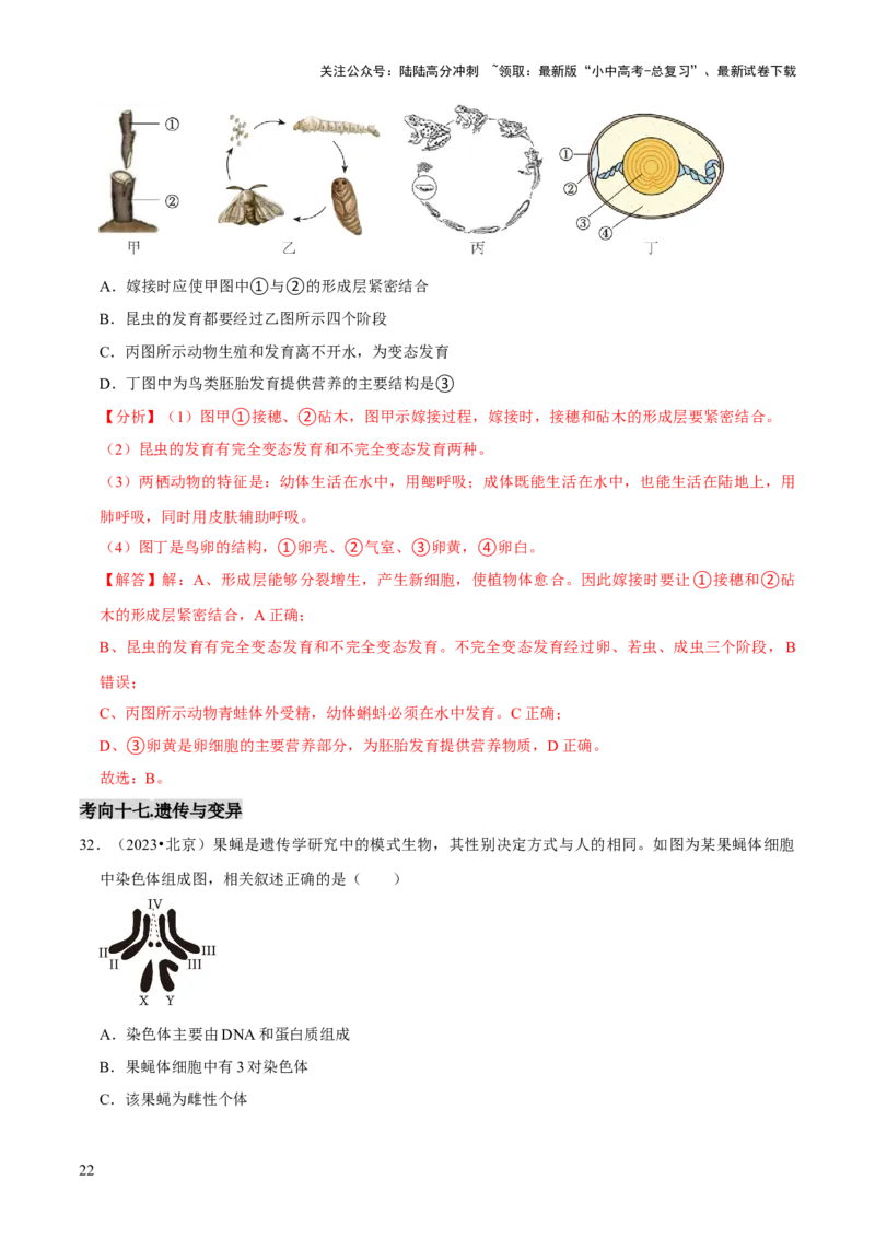 题型突破一结构图作答（解析版）_02中考总复习（2026版更新中）_08-生物-中考总复习_2024年中考复习资料_三轮复习_查漏补缺2024年中考生物复习冲刺过关（全国通用）_查补能力&middot;提升练