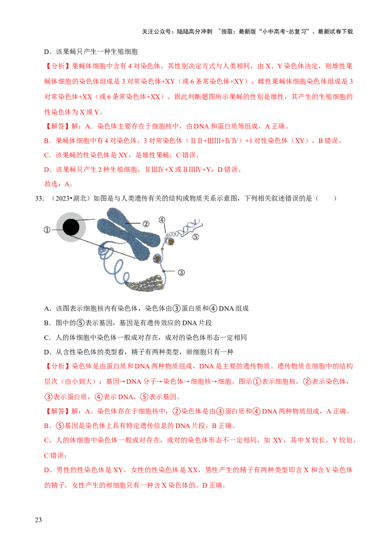 题型突破一结构图作答（解析版）_02中考总复习（2026版更新中）_08-生物-中考总复习_2024年中考复习资料_三轮复习_查漏补缺2024年中考生物复习冲刺过关（全国通用）_查补能力&middot;提升练