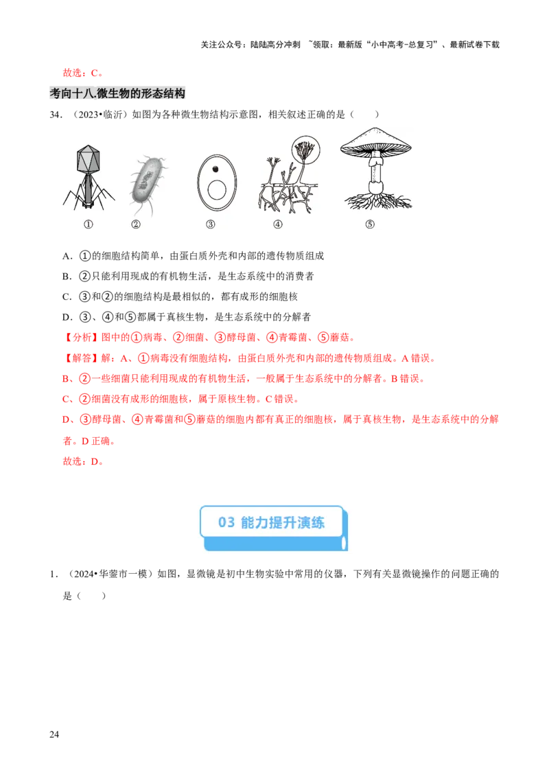 题型突破一结构图作答（解析版）_02中考总复习（2026版更新中）_08-生物-中考总复习_2024年中考复习资料_三轮复习_查漏补缺2024年中考生物复习冲刺过关（全国通用）_查补能力&middot;提升练