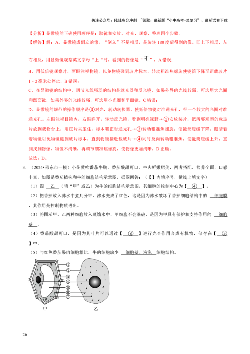 题型突破一结构图作答（解析版）_02中考总复习（2026版更新中）_08-生物-中考总复习_2024年中考复习资料_三轮复习_查漏补缺2024年中考生物复习冲刺过关（全国通用）_查补能力&middot;提升练