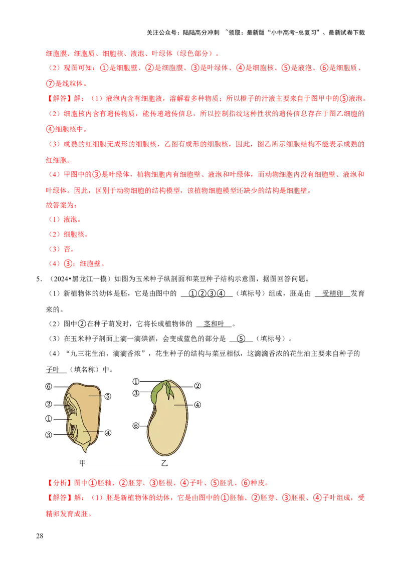 题型突破一结构图作答（解析版）_02中考总复习（2026版更新中）_08-生物-中考总复习_2024年中考复习资料_三轮复习_查漏补缺2024年中考生物复习冲刺过关（全国通用）_查补能力&middot;提升练
