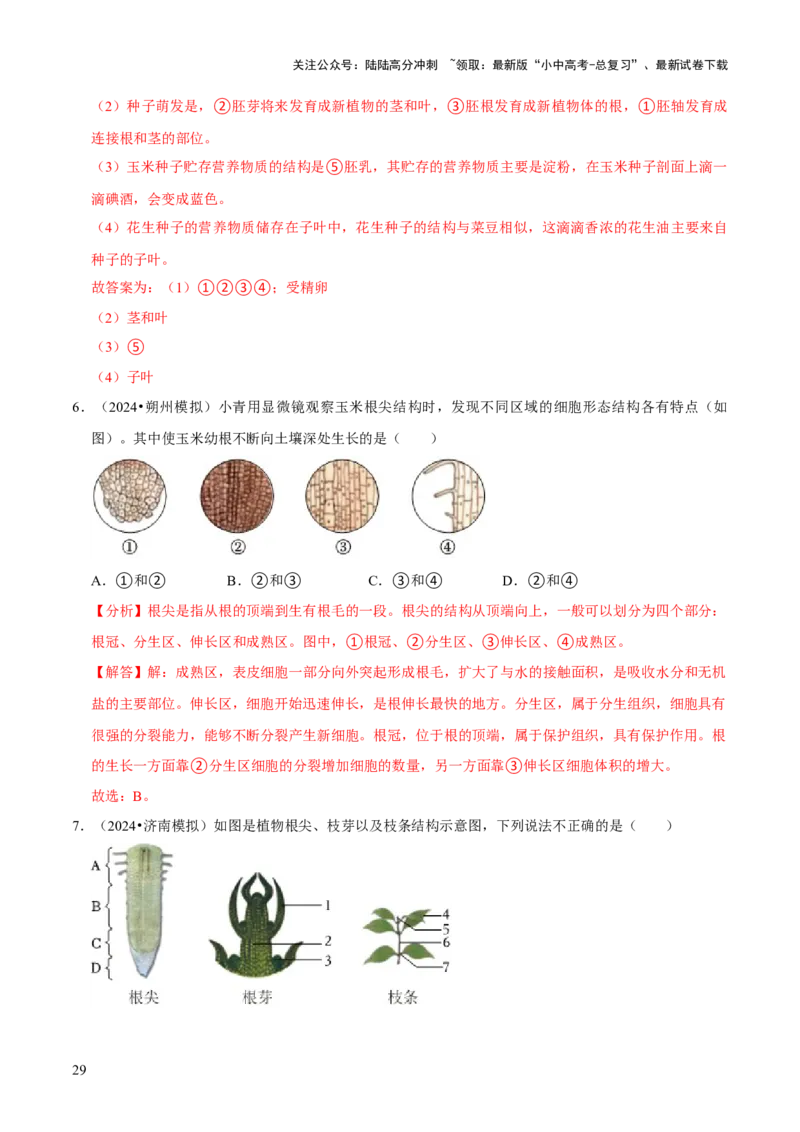 题型突破一结构图作答（解析版）_02中考总复习（2026版更新中）_08-生物-中考总复习_2024年中考复习资料_三轮复习_查漏补缺2024年中考生物复习冲刺过关（全国通用）_查补能力&middot;提升练