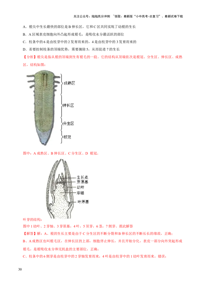 题型突破一结构图作答（解析版）_02中考总复习（2026版更新中）_08-生物-中考总复习_2024年中考复习资料_三轮复习_查漏补缺2024年中考生物复习冲刺过关（全国通用）_查补能力&middot;提升练