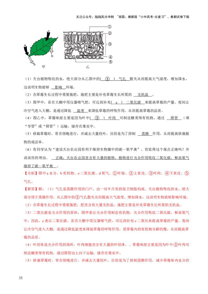 题型突破一结构图作答（解析版）_02中考总复习（2026版更新中）_08-生物-中考总复习_2024年中考复习资料_三轮复习_查漏补缺2024年中考生物复习冲刺过关（全国通用）_查补能力&middot;提升练