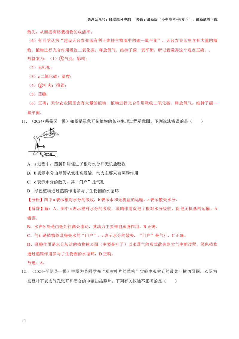 题型突破一结构图作答（解析版）_02中考总复习（2026版更新中）_08-生物-中考总复习_2024年中考复习资料_三轮复习_查漏补缺2024年中考生物复习冲刺过关（全国通用）_查补能力&middot;提升练