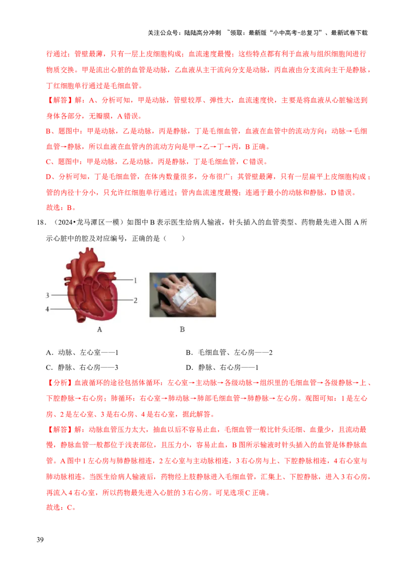 题型突破一结构图作答（解析版）_02中考总复习（2026版更新中）_08-生物-中考总复习_2024年中考复习资料_三轮复习_查漏补缺2024年中考生物复习冲刺过关（全国通用）_查补能力&middot;提升练