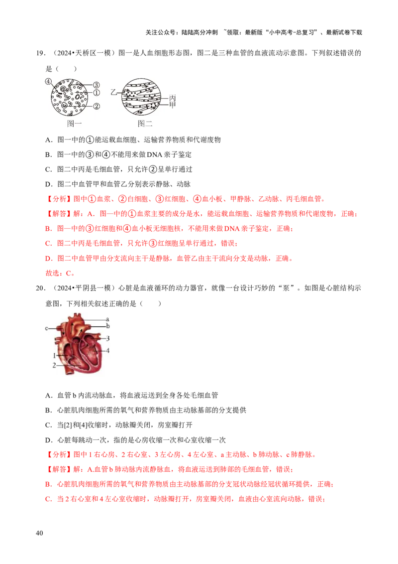 题型突破一结构图作答（解析版）_02中考总复习（2026版更新中）_08-生物-中考总复习_2024年中考复习资料_三轮复习_查漏补缺2024年中考生物复习冲刺过关（全国通用）_查补能力&middot;提升练