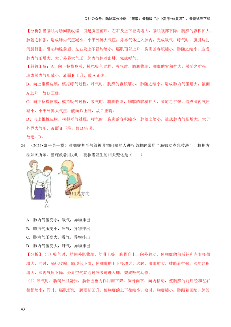 题型突破一结构图作答（解析版）_02中考总复习（2026版更新中）_08-生物-中考总复习_2024年中考复习资料_三轮复习_查漏补缺2024年中考生物复习冲刺过关（全国通用）_查补能力&middot;提升练