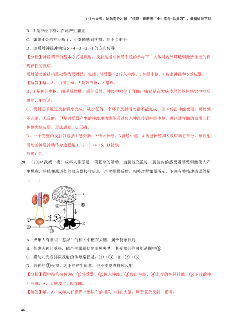 题型突破一结构图作答（解析版）_02中考总复习（2026版更新中）_08-生物-中考总复习_2024年中考复习资料_三轮复习_查漏补缺2024年中考生物复习冲刺过关（全国通用）_查补能力&middot;提升练