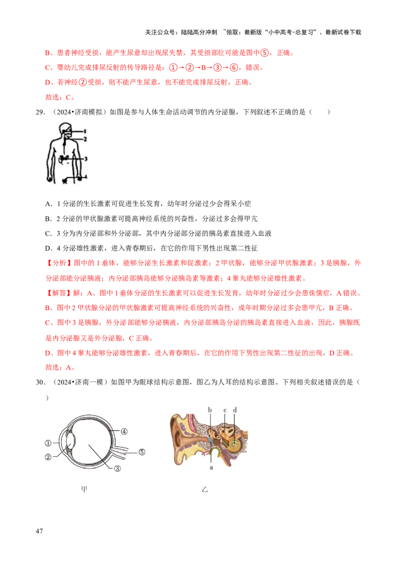 题型突破一结构图作答（解析版）_02中考总复习（2026版更新中）_08-生物-中考总复习_2024年中考复习资料_三轮复习_查漏补缺2024年中考生物复习冲刺过关（全国通用）_查补能力&middot;提升练