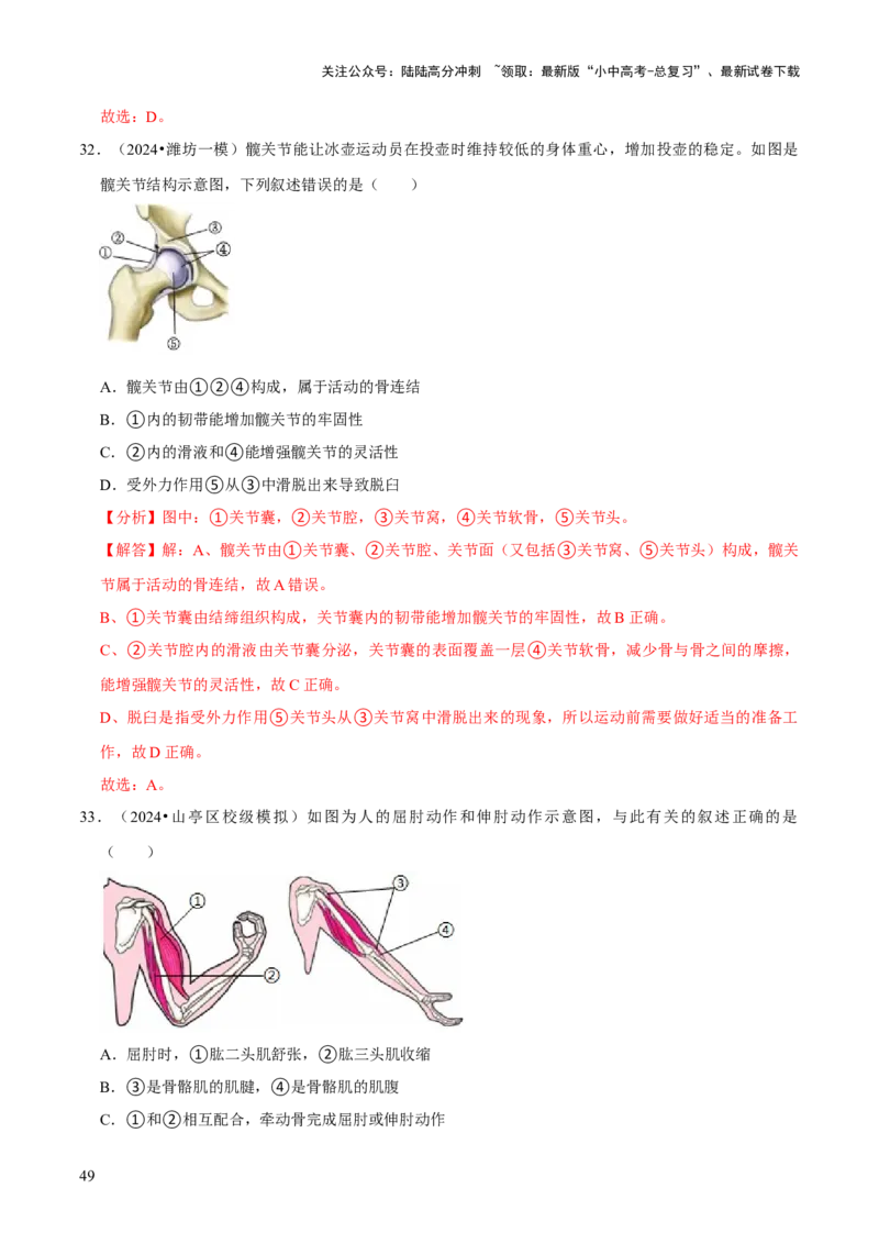 题型突破一结构图作答（解析版）_02中考总复习（2026版更新中）_08-生物-中考总复习_2024年中考复习资料_三轮复习_查漏补缺2024年中考生物复习冲刺过关（全国通用）_查补能力&middot;提升练