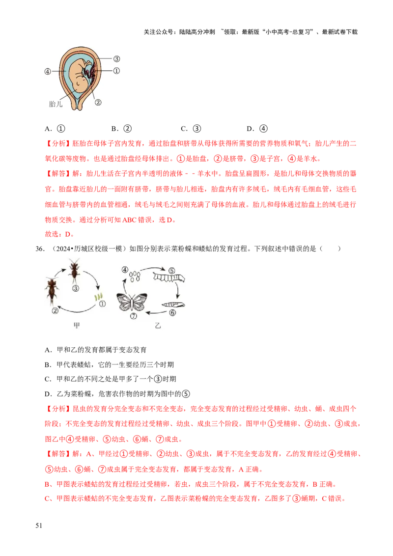 题型突破一结构图作答（解析版）_02中考总复习（2026版更新中）_08-生物-中考总复习_2024年中考复习资料_三轮复习_查漏补缺2024年中考生物复习冲刺过关（全国通用）_查补能力&middot;提升练