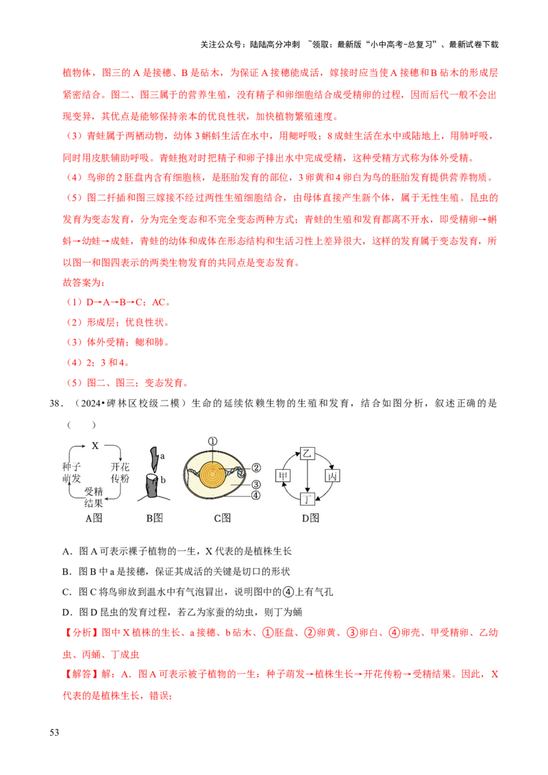题型突破一结构图作答（解析版）_02中考总复习（2026版更新中）_08-生物-中考总复习_2024年中考复习资料_三轮复习_查漏补缺2024年中考生物复习冲刺过关（全国通用）_查补能力&middot;提升练