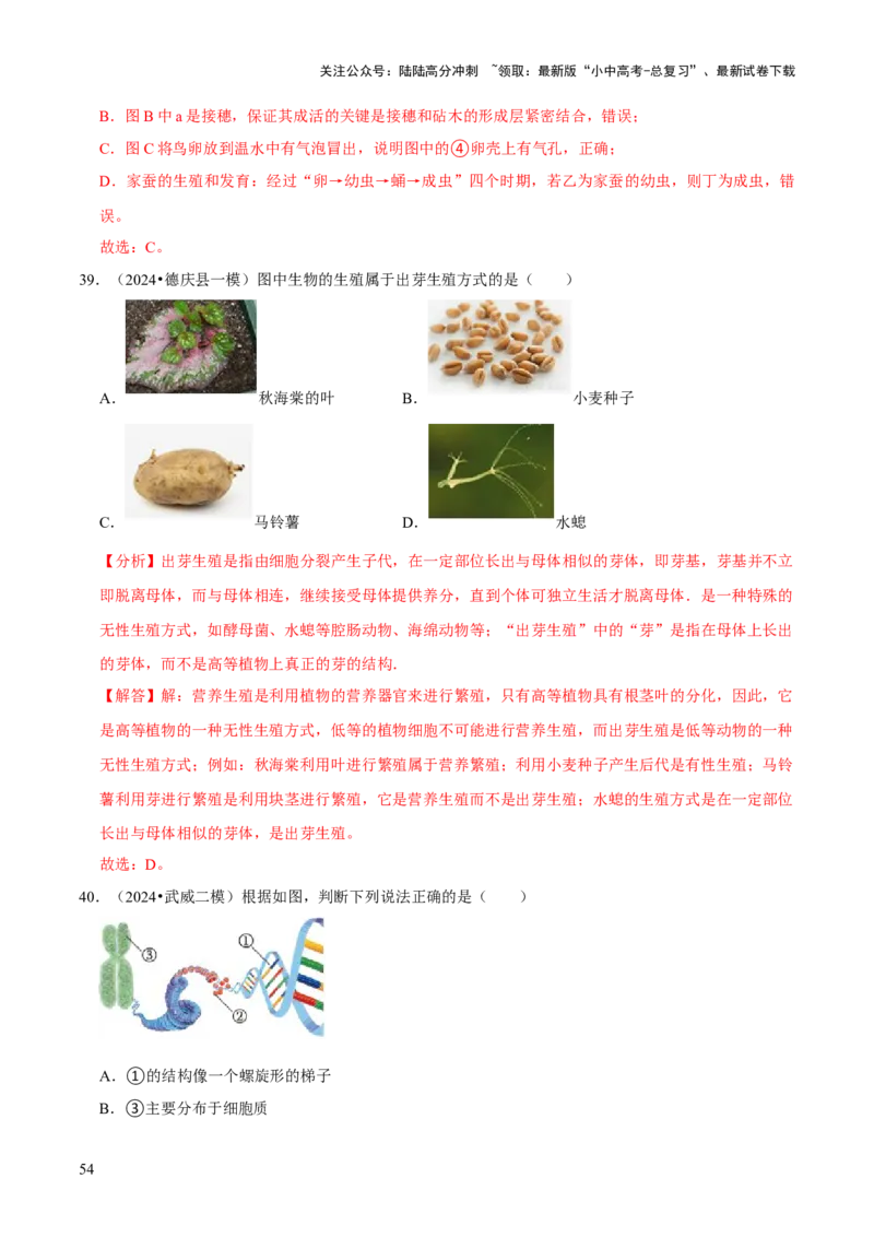 题型突破一结构图作答（解析版）_02中考总复习（2026版更新中）_08-生物-中考总复习_2024年中考复习资料_三轮复习_查漏补缺2024年中考生物复习冲刺过关（全国通用）_查补能力&middot;提升练