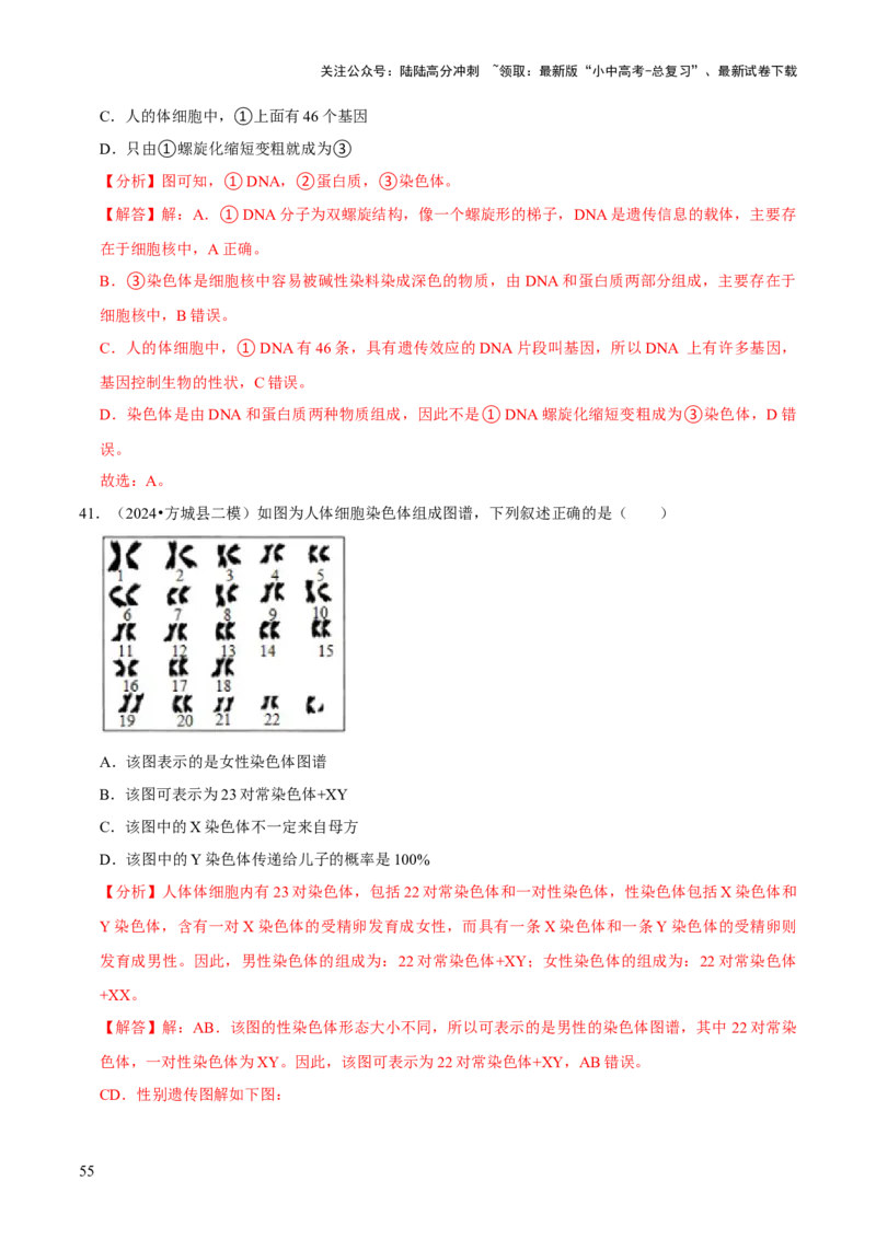题型突破一结构图作答（解析版）_02中考总复习（2026版更新中）_08-生物-中考总复习_2024年中考复习资料_三轮复习_查漏补缺2024年中考生物复习冲刺过关（全国通用）_查补能力&middot;提升练