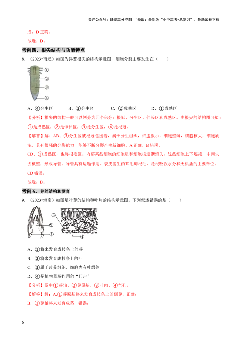 题型突破一结构图作答（解析版）_02中考总复习（2026版更新中）_08-生物-中考总复习_2024年中考复习资料_三轮复习_查漏补缺2024年中考生物复习冲刺过关（全国通用）_查补能力&middot;提升练