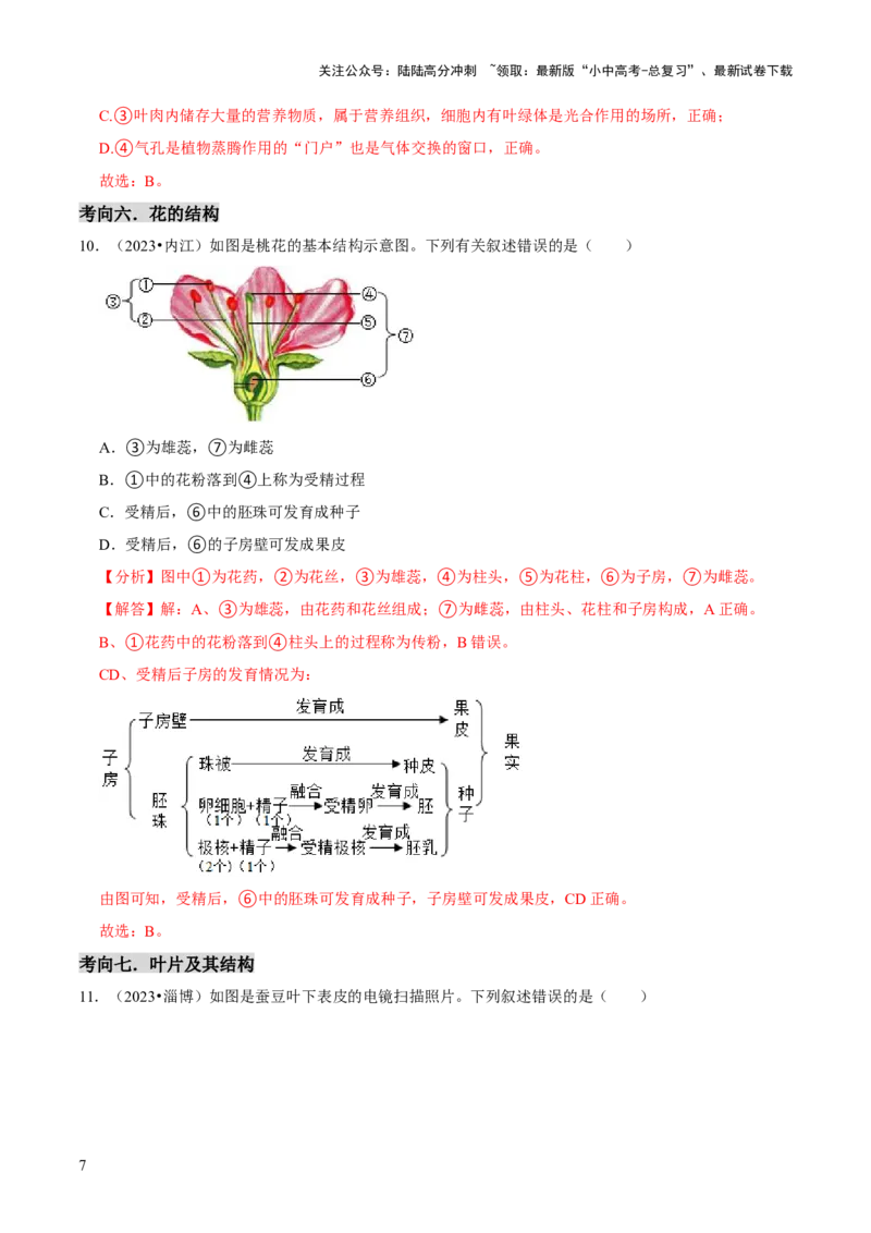 题型突破一结构图作答（解析版）_02中考总复习（2026版更新中）_08-生物-中考总复习_2024年中考复习资料_三轮复习_查漏补缺2024年中考生物复习冲刺过关（全国通用）_查补能力&middot;提升练