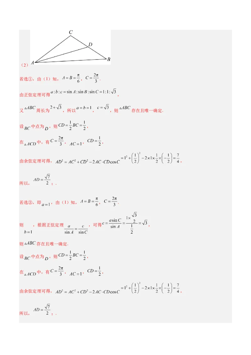 专题10解三角形问题（练）解析版_2.2025数学总复习_2023年新高考资料_二轮复习_备战2023年高考数学二轮复习考点精讲练（新教材&middot;新高考）