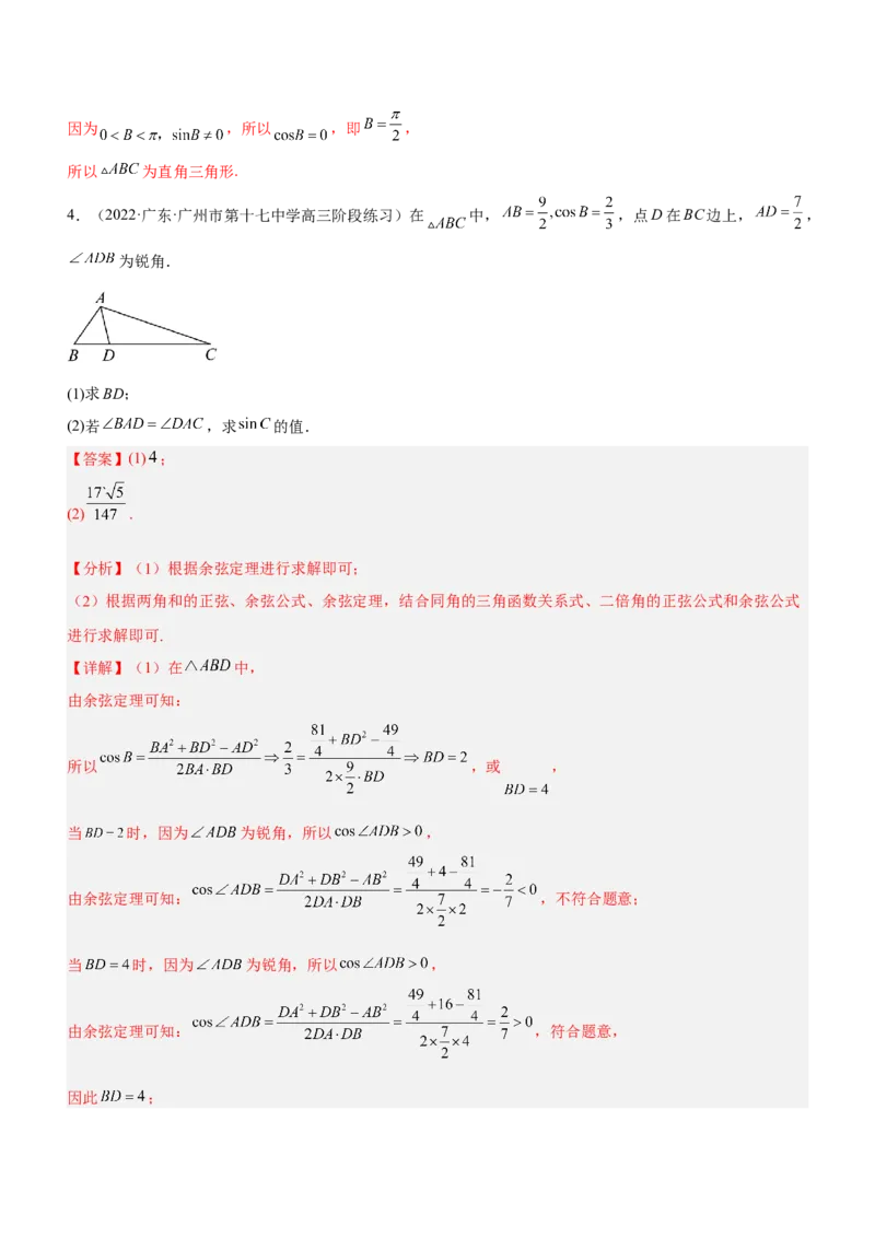 专题10解三角形问题（练）解析版_2.2025数学总复习_2023年新高考资料_二轮复习_备战2023年高考数学二轮复习考点精讲练（新教材&middot;新高考）