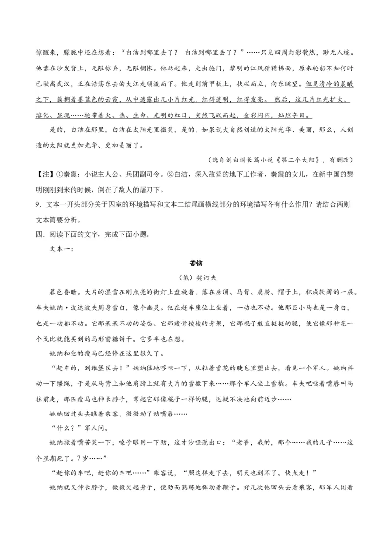 专题09读懂小说的环境（练习）-2024年高考语文二轮复习讲练测（新教材新高考）(原卷版)(1)_1.2025语文总复习_2024年新高考资料_2.2024二轮复习