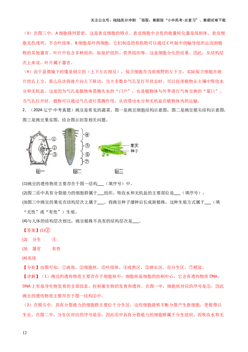 题型02生物图表解题技巧（解析版）_02中考总复习（2026版更新中）_08-生物-中考总复习_2025中考复习资料_2025年中考生物答题方法模板_题型02生物图表解题技巧-2025年中考生物答题方法模板