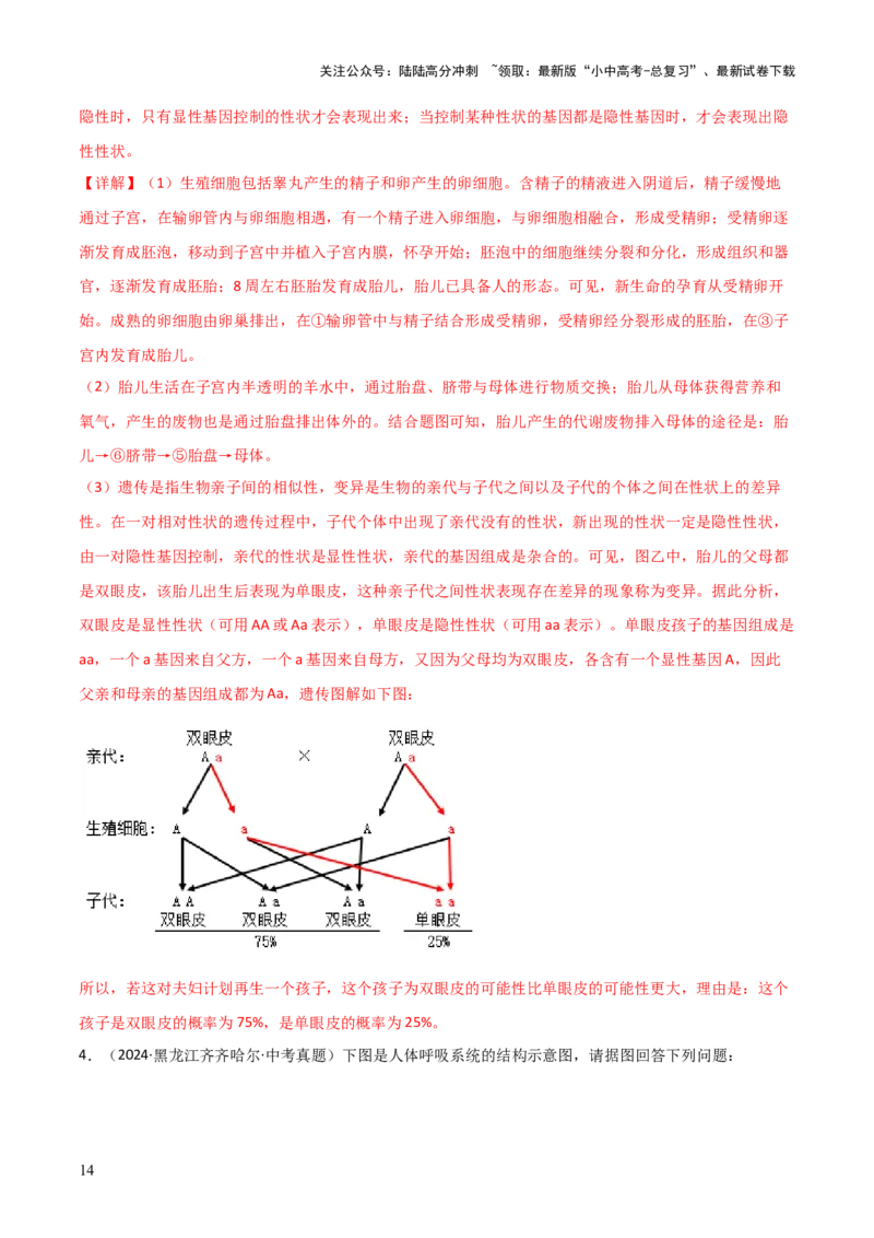 题型02生物图表解题技巧（解析版）_02中考总复习（2026版更新中）_08-生物-中考总复习_2025中考复习资料_2025年中考生物答题方法模板_题型02生物图表解题技巧-2025年中考生物答题方法模板