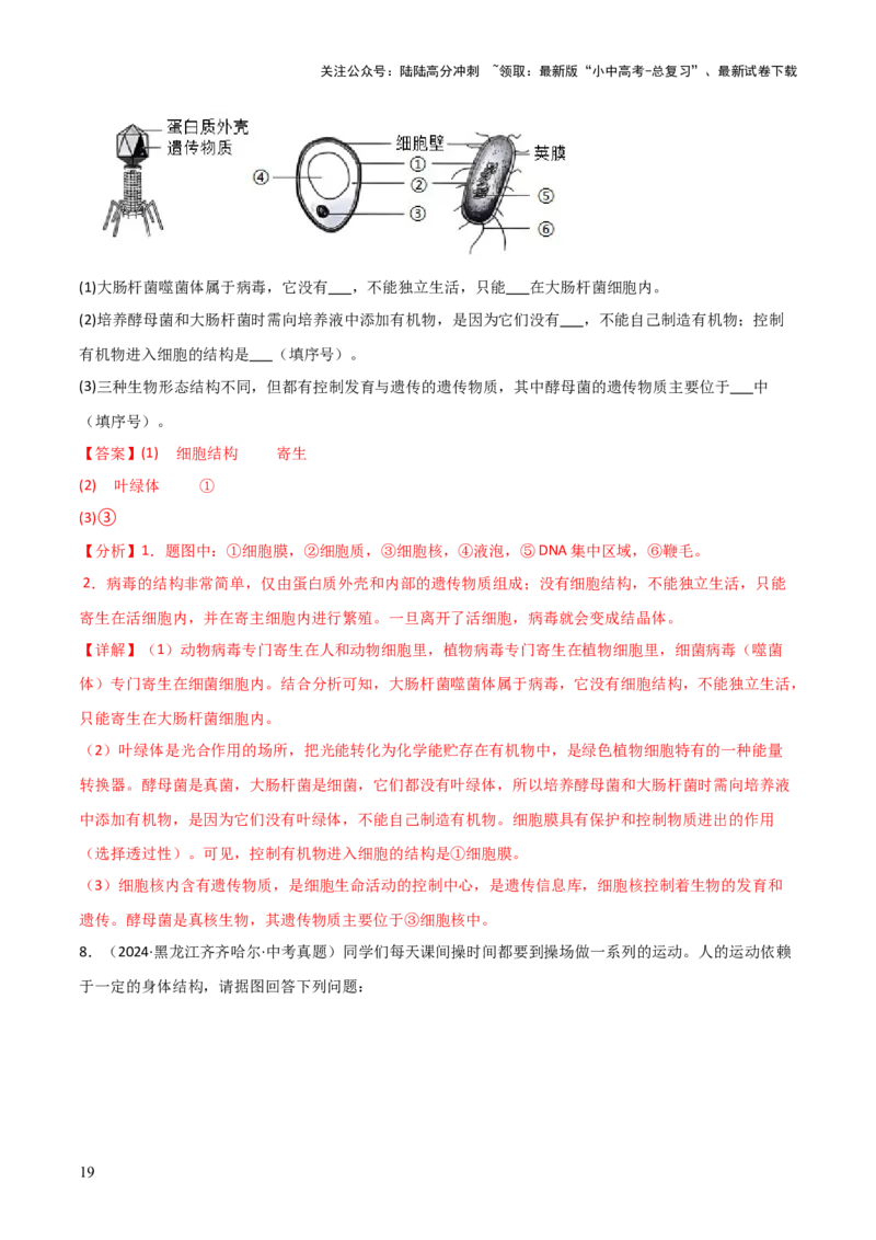 题型02生物图表解题技巧（解析版）_02中考总复习（2026版更新中）_08-生物-中考总复习_2025中考复习资料_2025年中考生物答题方法模板_题型02生物图表解题技巧-2025年中考生物答题方法模板