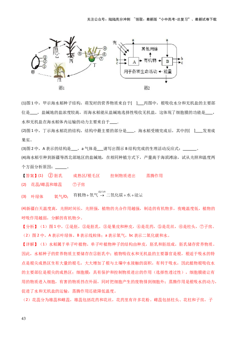 题型02生物图表解题技巧（解析版）_02中考总复习（2026版更新中）_08-生物-中考总复习_2025中考复习资料_2025年中考生物答题方法模板_题型02生物图表解题技巧-2025年中考生物答题方法模板