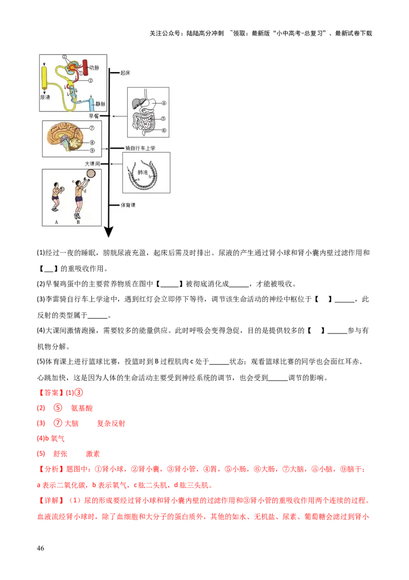 题型02生物图表解题技巧（解析版）_02中考总复习（2026版更新中）_08-生物-中考总复习_2025中考复习资料_2025年中考生物答题方法模板_题型02生物图表解题技巧-2025年中考生物答题方法模板