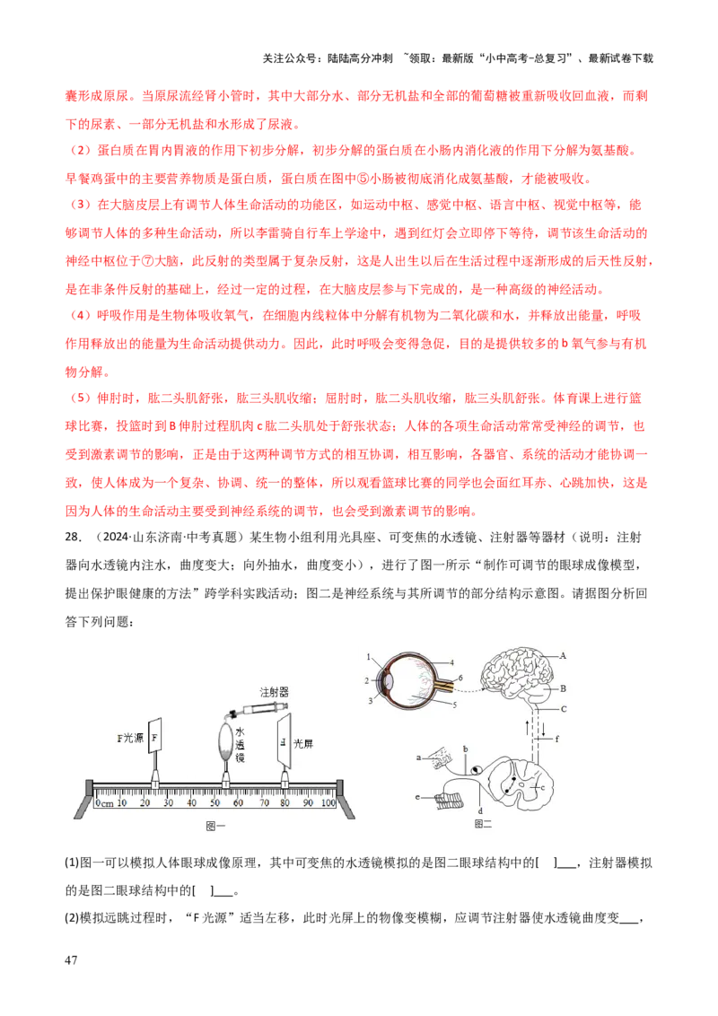题型02生物图表解题技巧（解析版）_02中考总复习（2026版更新中）_08-生物-中考总复习_2025中考复习资料_2025年中考生物答题方法模板_题型02生物图表解题技巧-2025年中考生物答题方法模板