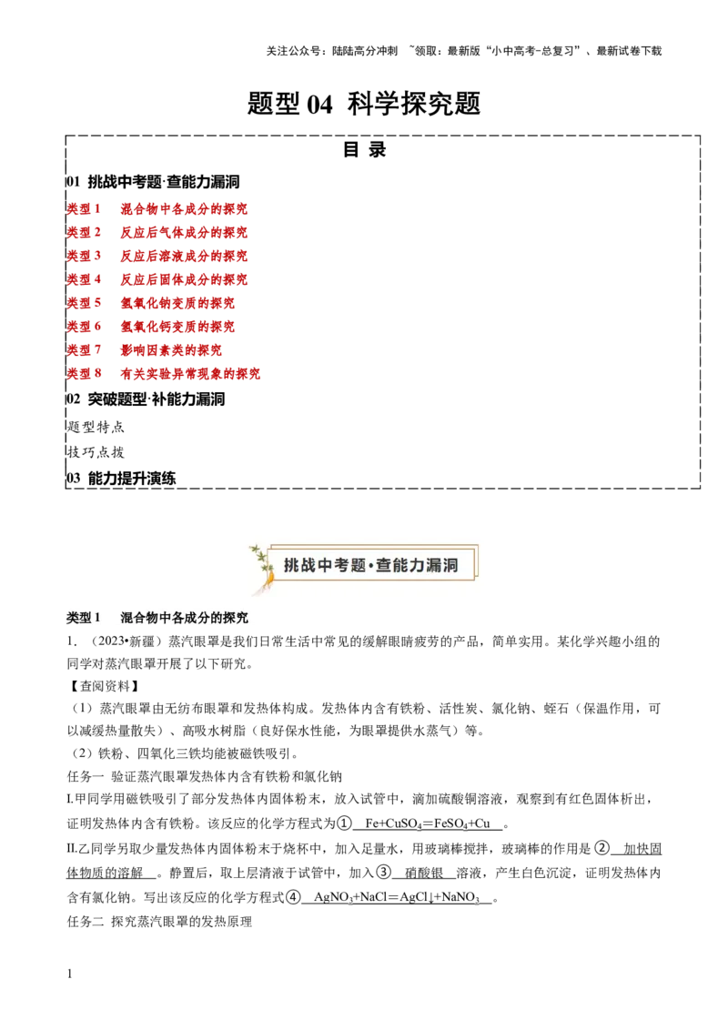 题型04科学探究题（解析版）_02中考总复习（2026版更新中）_05-化学-中考总复习_2024年中考复习资料_三轮复习_查漏补缺2024年中考化学复习冲刺过关（全国通用）_查补能力&bull;提升练