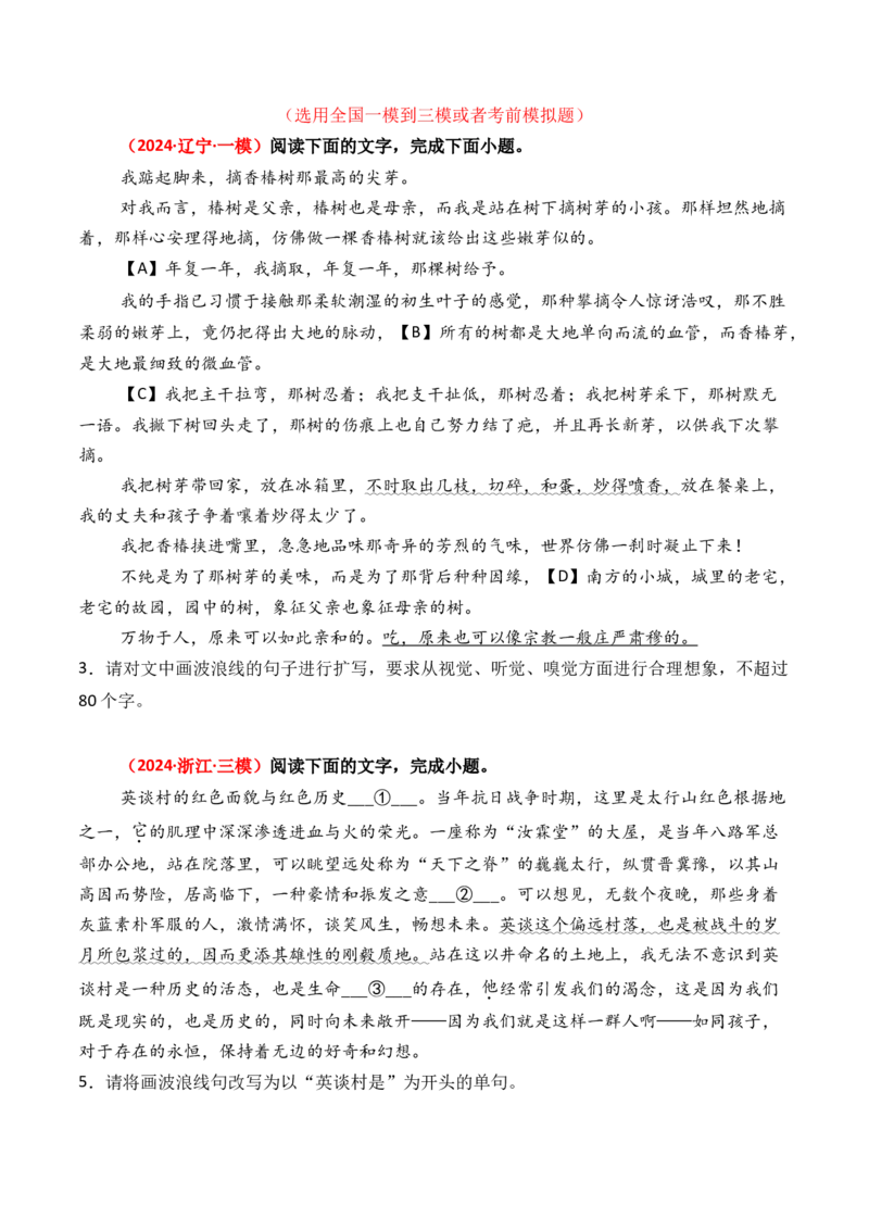 专题12句式变换-3年（2022-2024）高考1年模拟语文真题分类汇编（全国通用）（原卷版）_1.2025语文总复习_2025年新高考资料_专项复习