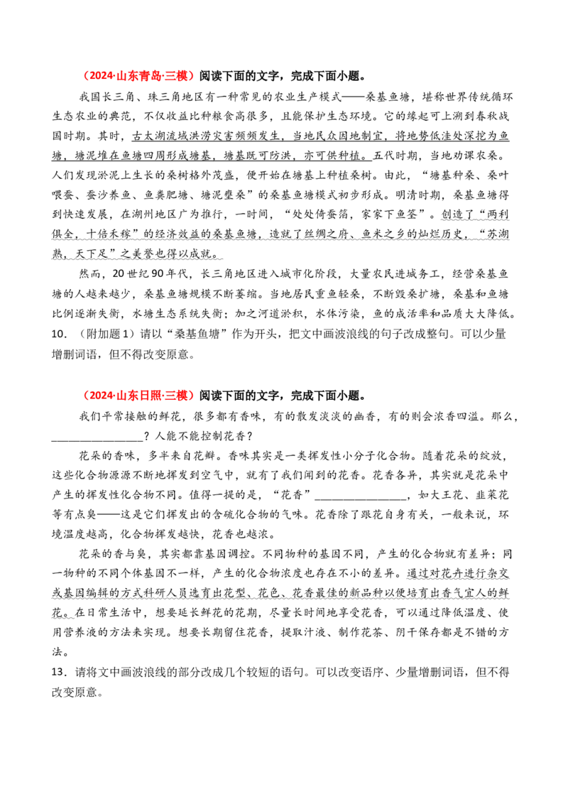 专题12句式变换-3年（2022-2024）高考1年模拟语文真题分类汇编（全国通用）（原卷版）_1.2025语文总复习_2025年新高考资料_专项复习