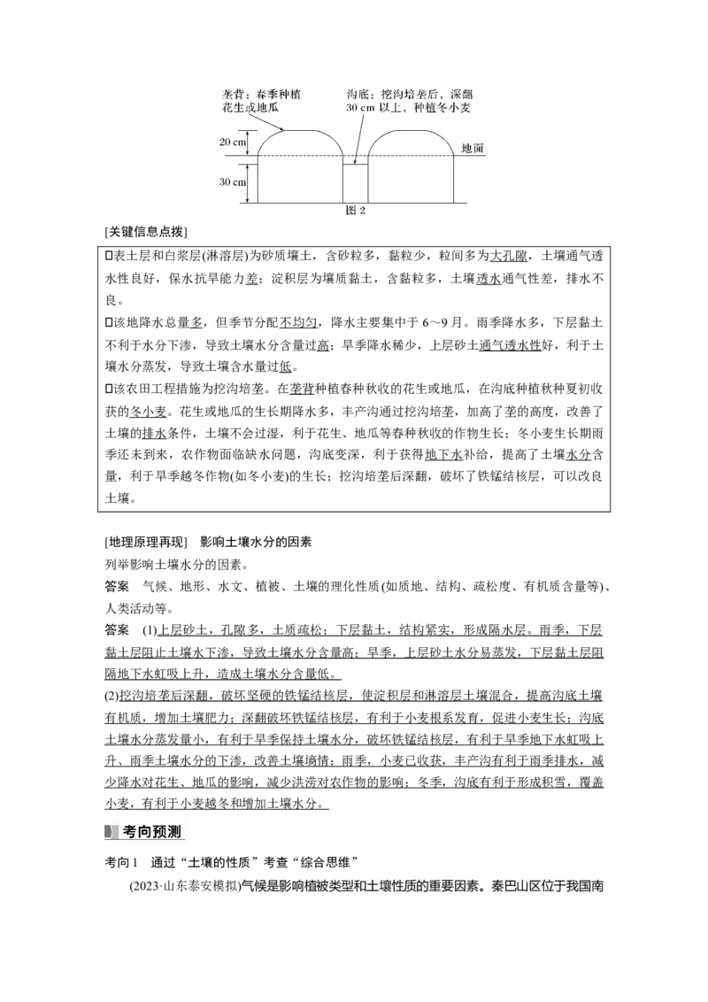 第一部分第六章第1讲课时35　土壤的形成_9.2025地理总复习_2025年新高考资料_一轮复习_2025高考大一轮复习讲义+练习（完结）_2025高考大一轮复习地理（湘教版）