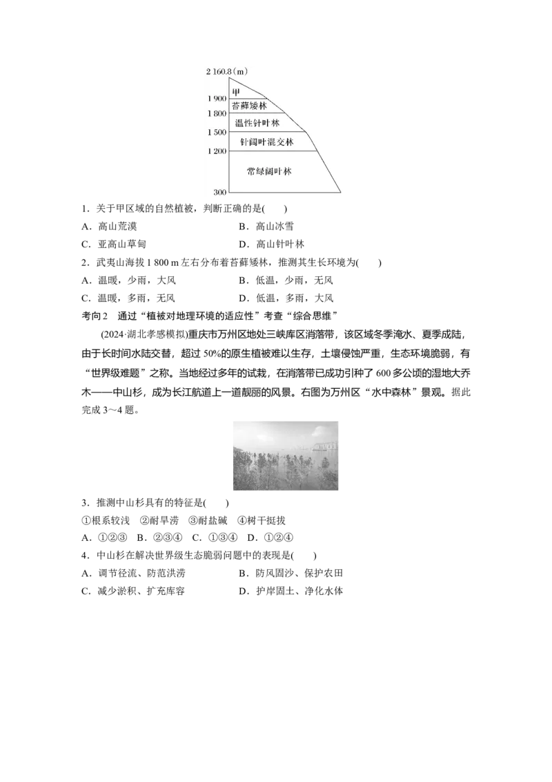 第一部分第六章第1讲课时34　主要植被与自然环境_9.2025地理总复习_2025年新高考资料_一轮复习_2025高考大一轮复习讲义+练习（完结）_2025高考大一轮复习地理（湘教版）_大一轮复习讲义