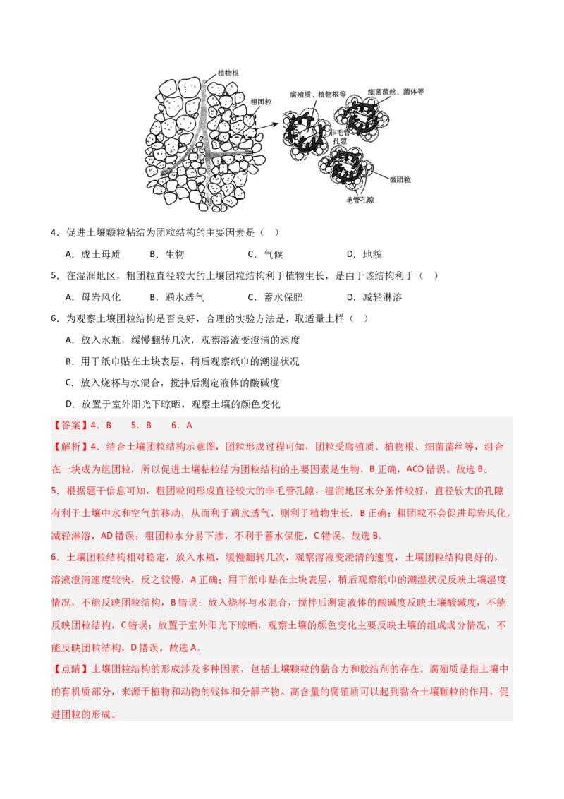 考点巩固卷08植被与土壤-2025年高考地理一轮复习考点通关卷（新高考通用）（解析版）_9.2025地理总复习_2025年新高考资料_一轮复习_2025年高考地理一轮复习考点通关卷（新高考通用）