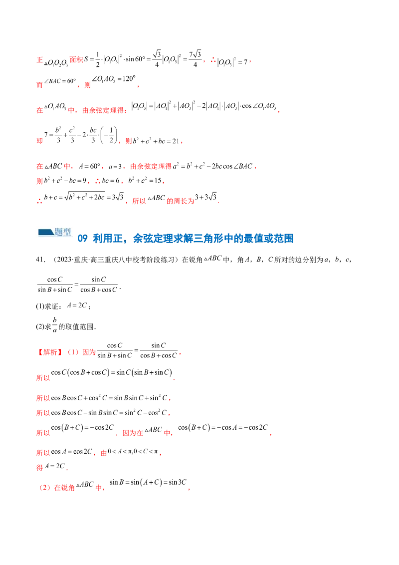 专题12正余弦定理妙解三角形问题和最值问题（练习）（解析版）_2.2025数学总复习_2024年新高考资料_2.2024二轮复习_2024年高考数学二轮复习讲练（新教材新高考）