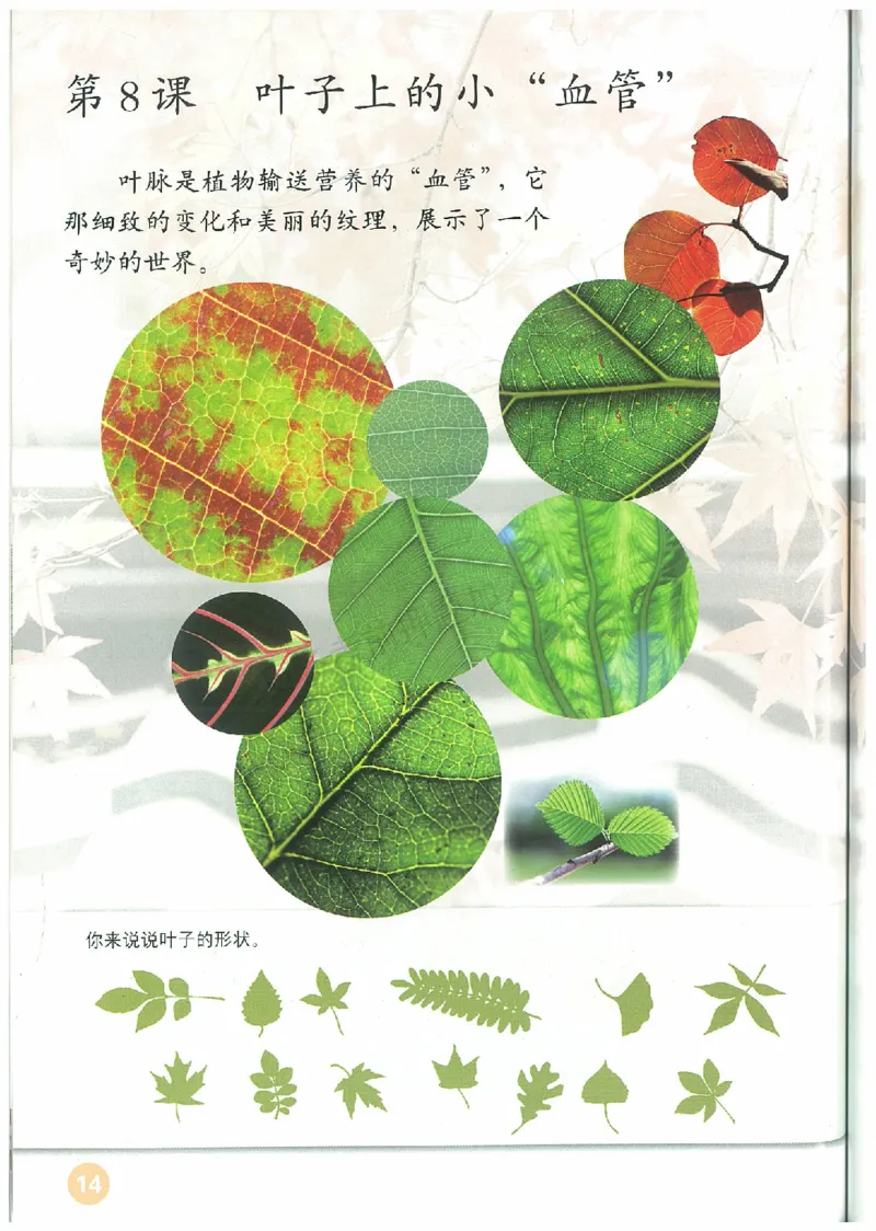 2年级下册(1)_教资初高中_教资面试2025教资面试备考资料合集_教资面试资料合集_2025教资面试资料_25上教资面试-小学资料包_20教材：全册_小学_小学美术_小学人教版