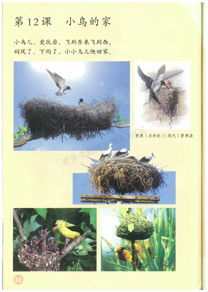 2年级下册(1)_教资初高中_教资面试2025教资面试备考资料合集_教资面试资料合集_2025教资面试资料_25上教资面试-小学资料包_20教材：全册_小学_小学美术_小学人教版