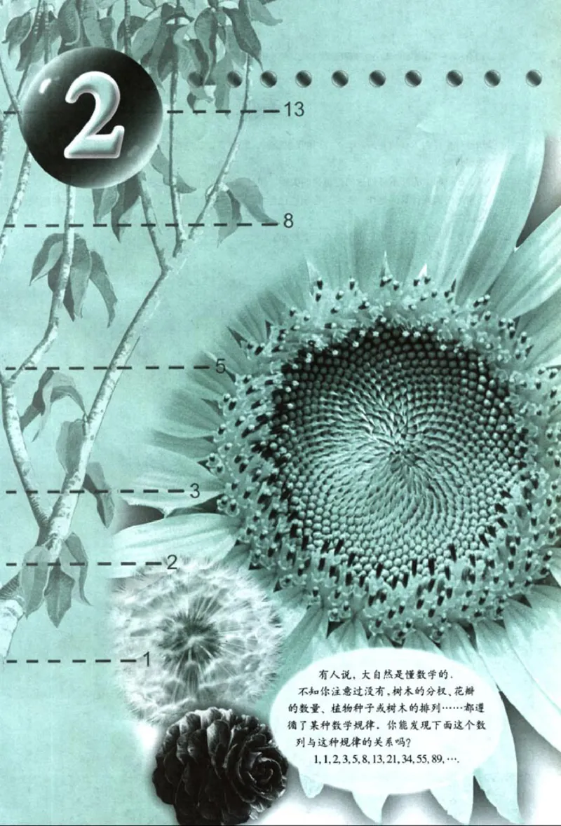 05必修5学生课本(1)_教资初高中_教资面试2025教资面试备考资料合集_教资面试资料合集_2025教资面试资料_25上教资面试-小学资料包_20教材：全册_高中_高中数学_高中数学人教版