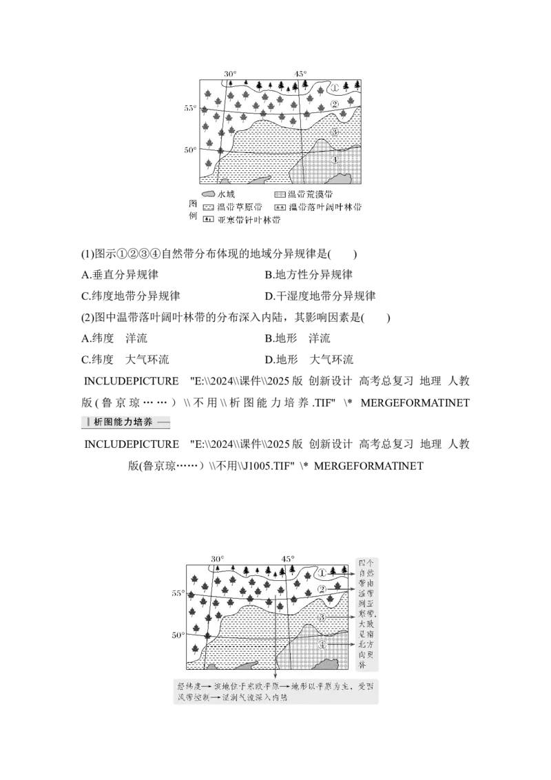 2025届高中地理一轮复习讲义：第一部分自然地理第八单元自然环境的整体性与差异性第41课时　陆地地域分异规律　地方性分异规律（教师版）_9.2025地理总复习_2025年新高考资料_一轮复习