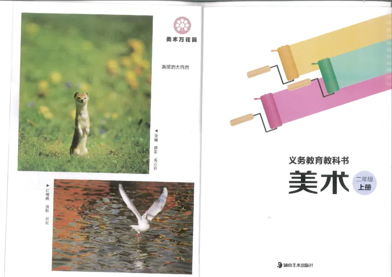 2年级上(1)_教资初高中_教资面试2025教资面试备考资料合集_教资面试资料合集_2025教资面试资料_25上教资面试-小学资料包_20教材：全册_小学_小学美术_小学湘美版